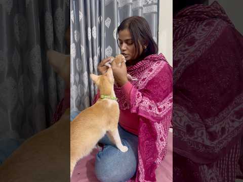 Maa 👩 baccha le kar gai 🐱