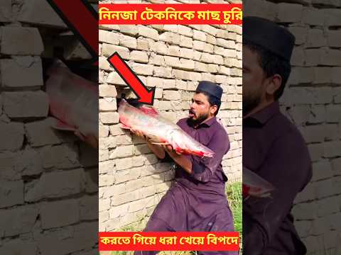 নিনজা টেকনিকে মাঠ চুড়ি অতঃপর 😱🐋#shorts #viralvideo #trending #short #youtubeshorts