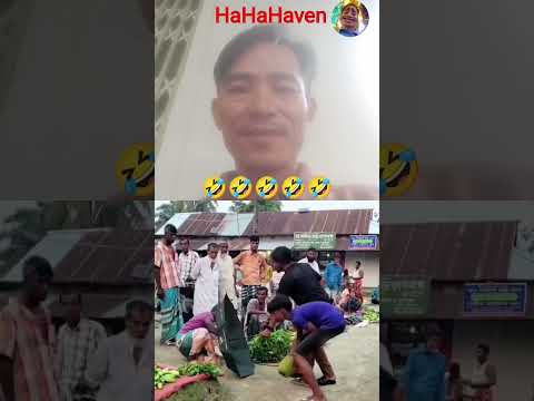 fun entertainment every day