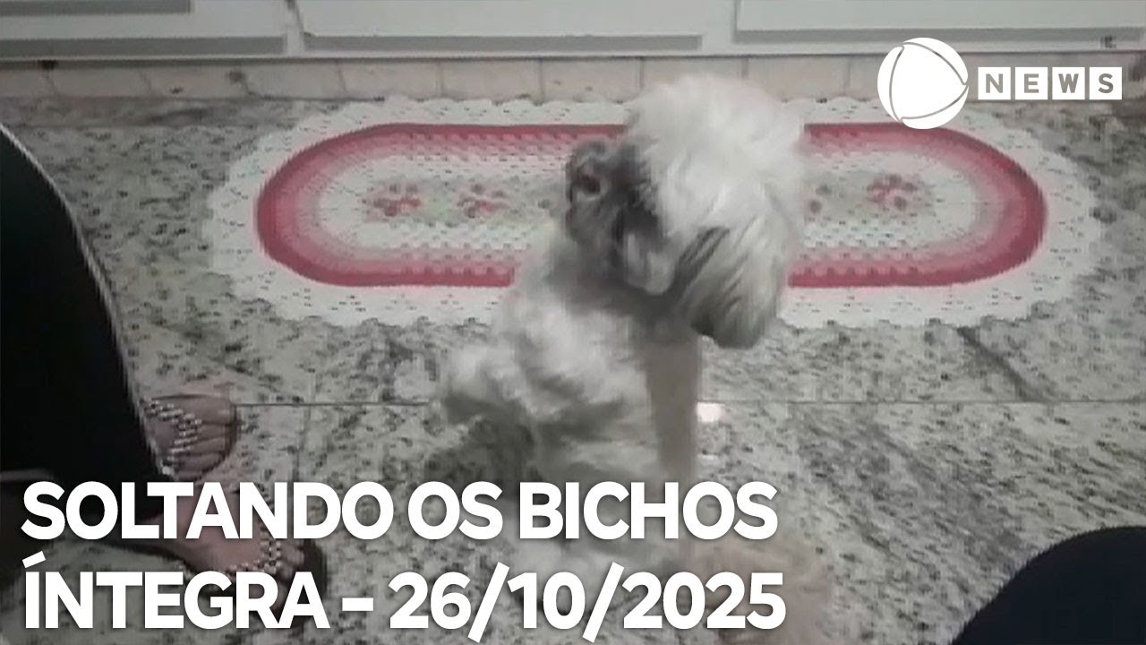 Soltando os Bichos – 26/10/2025