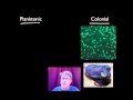 Cell Communication and Responses in Organisms