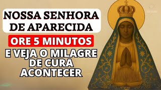✨ORAÇÃO PARA VOCÊ QUE PRECISA DE UM MILAGRE DE CURA URGENTE – NOSSA SENHORA APARECIDA