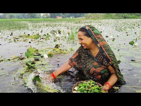 जल मे पाये जाने वाला सफेद कोकवेळी का कुरकुरे एवं टेस्टी पकौडी एक बार खायेगे तो बार बार बनाएंगे ||