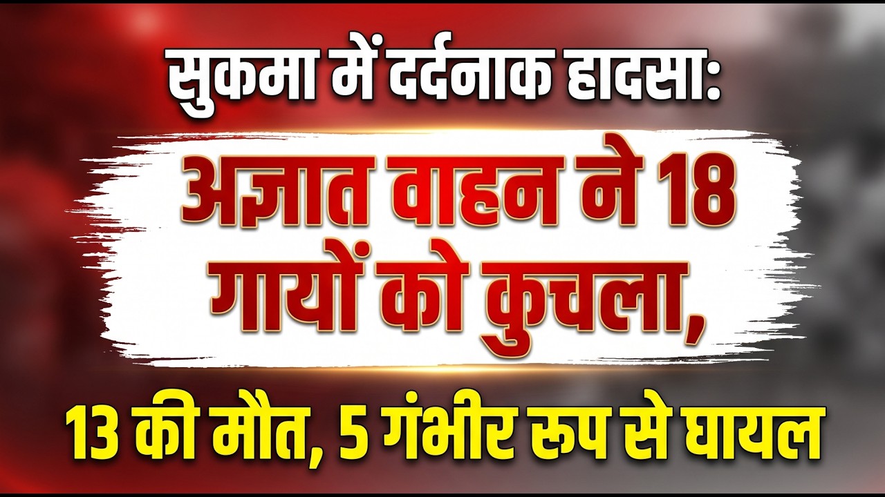 सुकमा में दर्दनाक हादसा: अज्ञात वाहन ने 18 गायों को कुचला, 13 की मौत, 5 गंभीर रूप से घायल