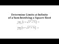 Understanding Limits and Indeterminate Forms