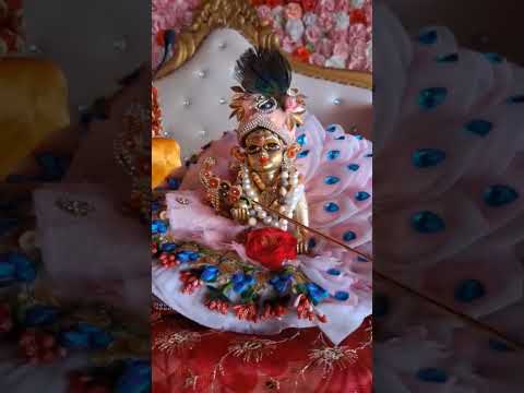 अब आज मेरे घनश्याम तरस दिखा जाओ#youtube # #शॉर्ट्स# वीडियो