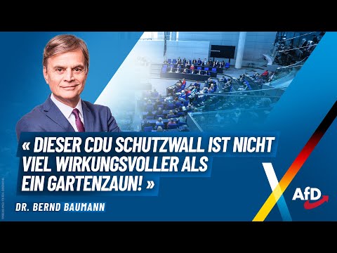 "Dieser CDU Schutzwall ist nicht viel Wirkungsvoller als ein Gartenzaun!" - Dr. Bernd Baumann - AfD