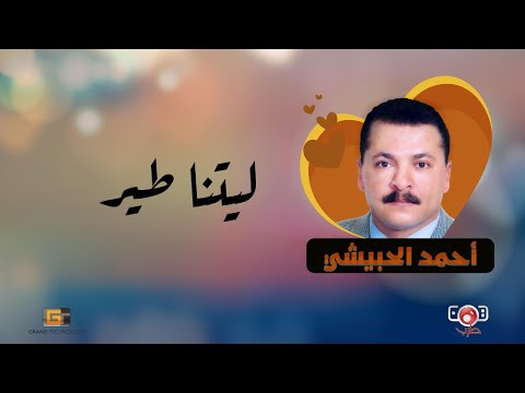 احمد الحبيشي - ليتنا طير