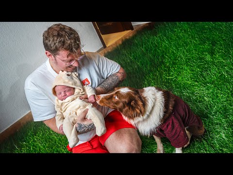 Mostramos o Miguel para os PETS da Mansão! 