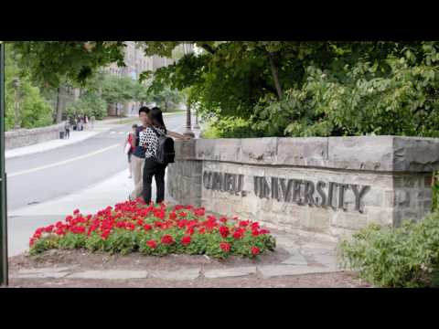Empire Vision Works Horseheads Ny Jobs Ecityworks Empire Vision Works Horseheads Ny Jobs Ecityworks