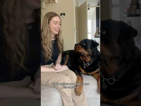 His reaction🤣 #dogs #rottweiler #doggielife #pets #funny #puppy #rottweilerpuppy #cutedog