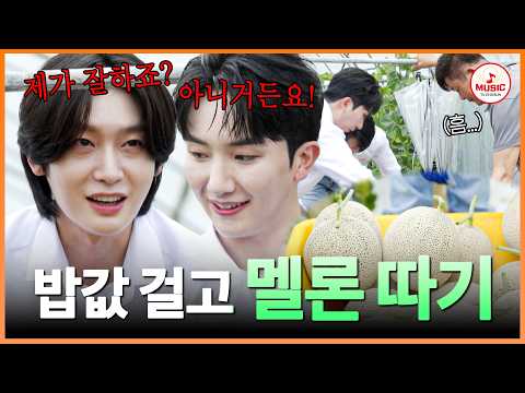 [#트롯키친달리는디너쇼] 밥값 앞에 흔들린 우정(?)🤣 멜론 따기에 진심인 김용빈X남승민🍈 #TVCHOSUNMUSIC (TV CHOSUN 261012 방송)