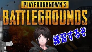 【PUBG】ドン勝への道