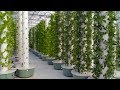 Grow 10X More In the Same Space with 90% Less Water  More Nutritious & Less Waste with Aeroponics