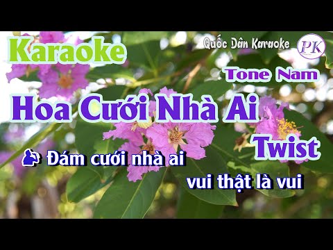 Karaoke Hoa Cưới Nhà Ai | Twist | Tone Nam (Dm,Tp:120) | Quốc Dân Karaoke