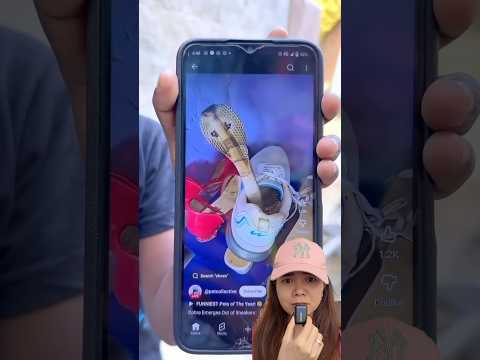 JANGAN PAKAI SEPATU BARU DULU ⁉️AWAS ADA ULARNYA 😱