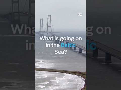 Why can the EU not stop Russia’s 'shadow fleet'? | DW News