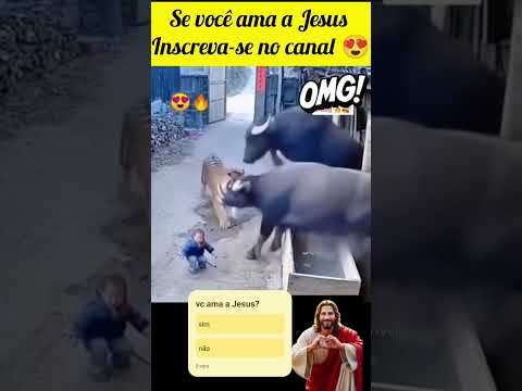 se você ama a Jesus,inscfdy nosso canal