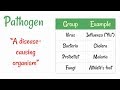 Understanding Pathogens and Disease Transmission