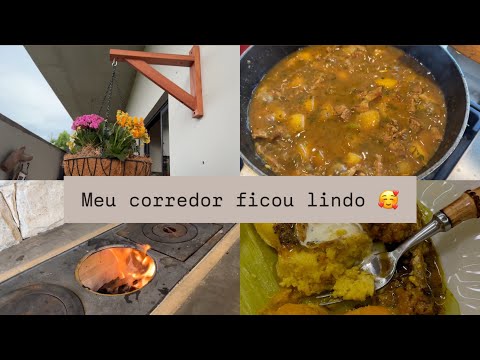 Inaugurei meu fogão a lenha | Fiz quibebe com mandioca | Meu jardim do corredor ficou pronto!