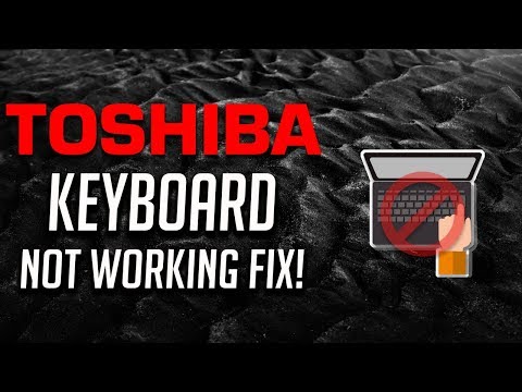 toshiba touchpad not working windows 10