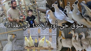 سوق حي أور ال٤٠٠٠/الساحه في بغداد اليوم الإثنين ٢٦ أغسطس ٢٠٢٥