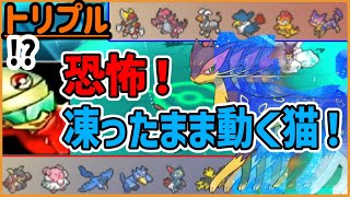 ボーダーのヨウ戦慄！(←誰！？)凍ったまま動く猫！！！【トリプルバトル】