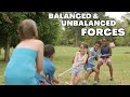 Understanding Forces and Motion
