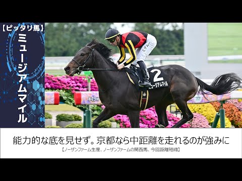 【朝日杯FS2024】このレースは"特徴"がある！この世代は●●が圧倒的！？