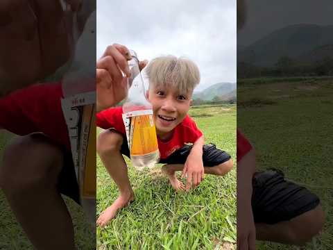 Khi tôi đi bắt dế cùng đứa em…!