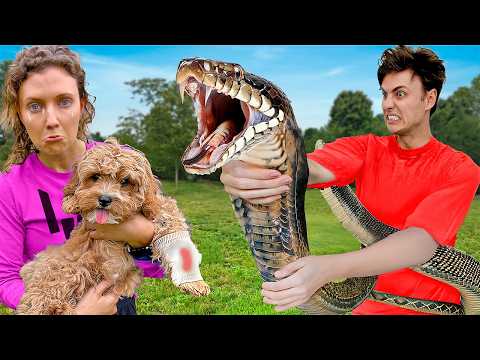 Snake ATTACKED my DOG!!! will he be OKAY…