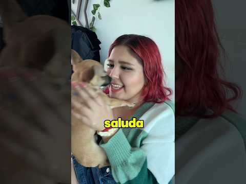 CUANDO SALUDO A OTROS PERROS