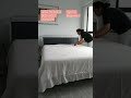 පොතු සත්කාරය පිළිබඳ විභාගය