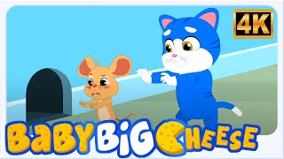 Billi Karti Meow Meow, म्याऊं म्याऊं बिल्ली करती, Hindi Rhymes for Babies