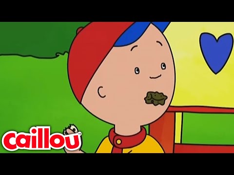 Caillou ilk kez zeytin deniyor | Caillou Türkçe - WildBrain