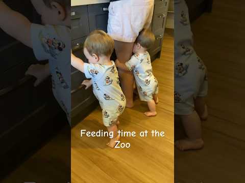 The twins way of letting us know they are hungry. #twins #baby #funny #dad #mom #cute