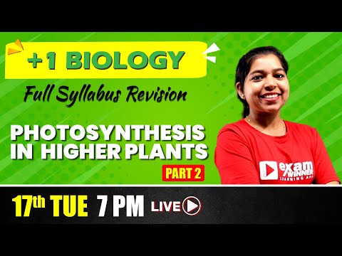 Plus one Complete Revision | Biology  | Photosynthesis in Higher Plants P2| With Menti | Exam Winner