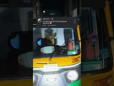 ലെ പട്ടി : നിനക്കൊന്നും ഉറക്കമില്ലെടാ മനുഷ്യന്റെ മക്കളെ😂🔥 #shorts #shortsvideo #shortvideo