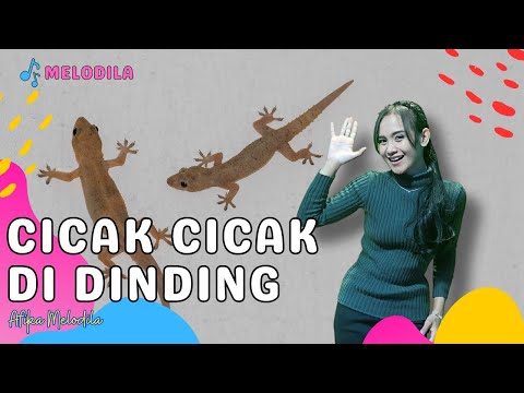 🔴 LAGU CICAK CICAK DI DINDING - Lagu Anak Balita | Lagu Anak Indonesia | Afika Melodila