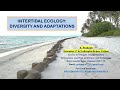 Intertidal Zone Concepts and Challenges