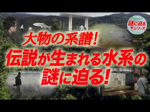 大物の系譜！伝説が生まれる水系の謎に迫る！【謎に迫るシリーズ第三十九回】