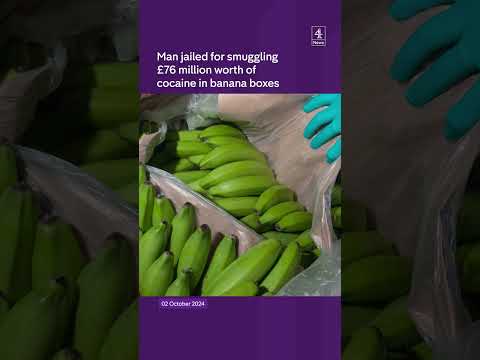 Jail for hiding £76m cocaine in bananas