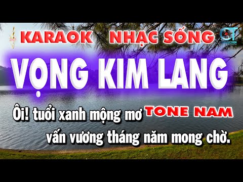 Vọng Kim Lang Tone Nam Nhạc Sống | Làng Hoa Karaoke