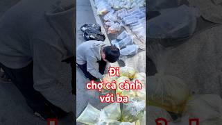 Đi chợ cá cảnh với ba #bettasales #ngocdiemaquarium #baoiba