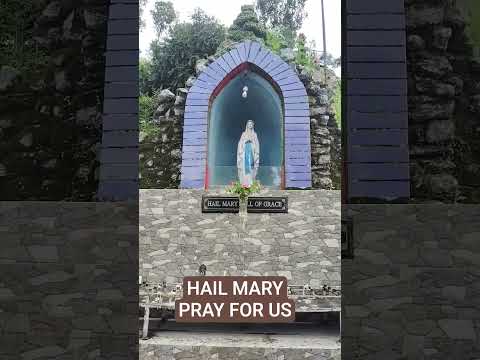 Mother of God pray for us #trending#mothermary  #blessedmother #divinemother #blessedvirgin#ytshort