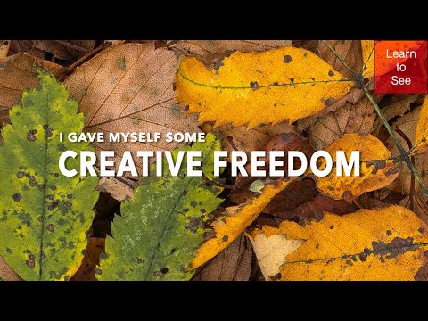 Creative Freedom | Nature Photography