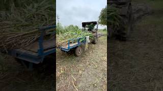 Farming #farming