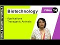 Bioethics and Genetic Engineering Concepts