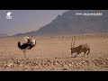 Kuis tentang Padang Pasir The Nimith dan Sejarah Namibia