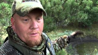 13_Bulls and Bucks - Danny Baugher